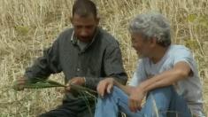 Couscous les graines de la dignit 02